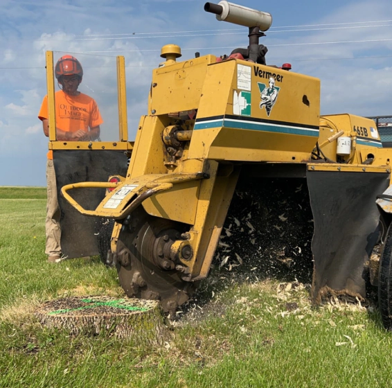 Stump Grinding