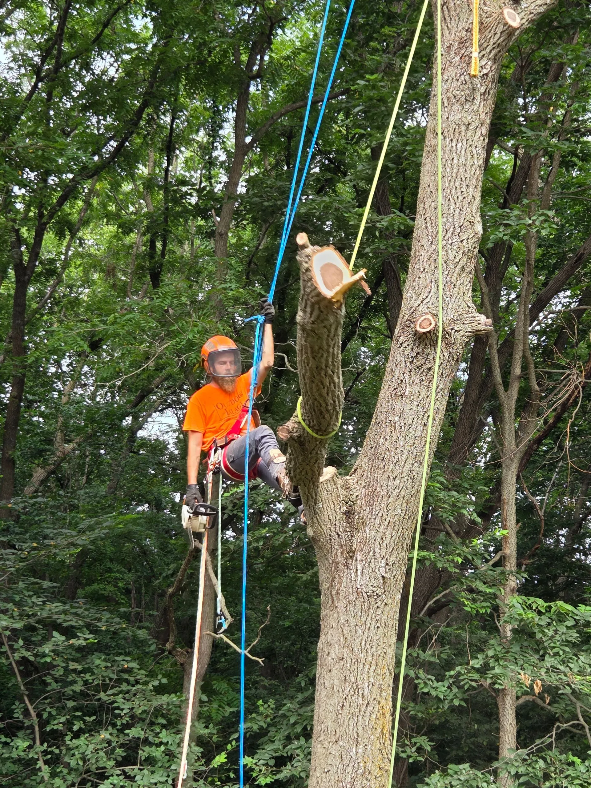 Alex+climbing+1 2880w